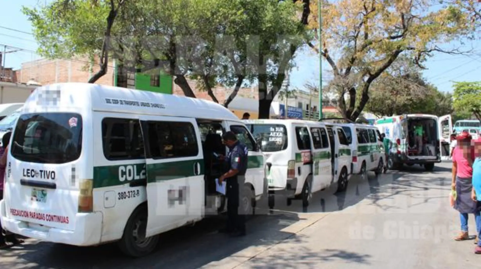 COLECTIVOS (1)